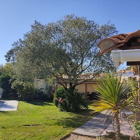 Maison Familiale En Bois Avec Piscine, Proche Du Bassin Gujan-Mestras Buitenkant foto