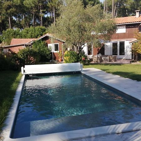 Maison Familiale En Bois Avec Piscine, Proche Du Bassin Gujan-Mestras Buitenkant foto