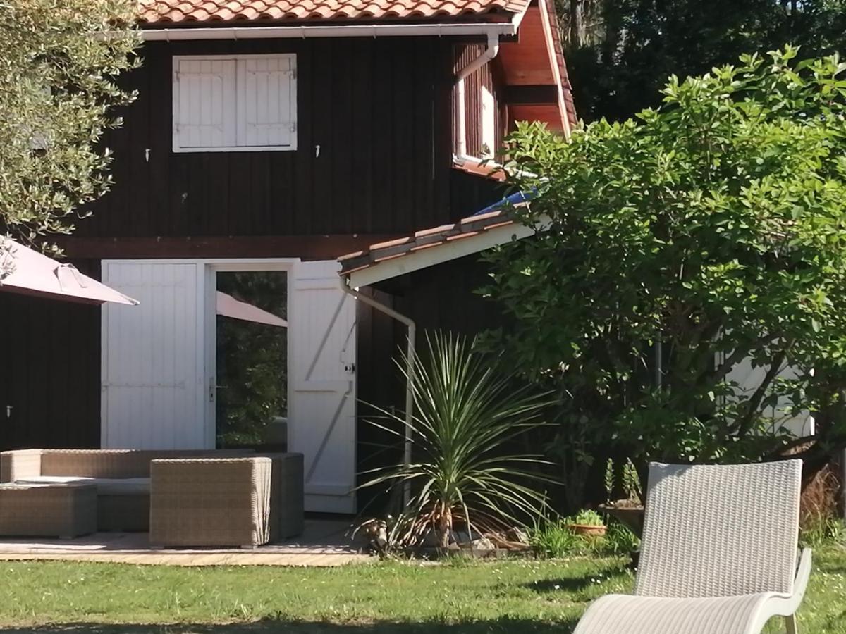 Maison Familiale En Bois Avec Piscine, Proche Du Bassin Gujan-Mestras Buitenkant foto