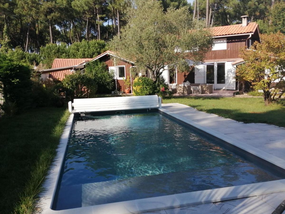 Maison Familiale En Bois Avec Piscine, Proche Du Bassin Gujan-Mestras Buitenkant foto